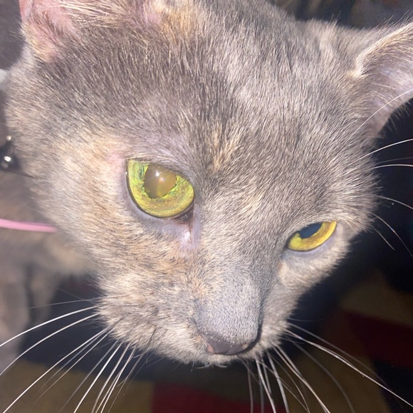 Color changing AF1s, pink air force ones - Picture 7 of 7